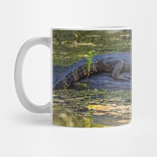 Resting Alligator in the Swamp Mug